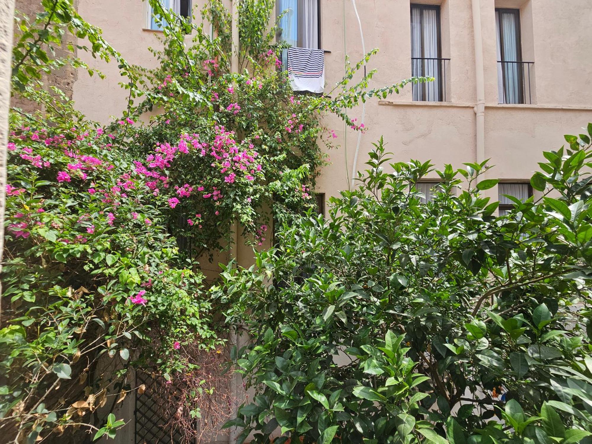 Hotel Palermo — Foto’s 1