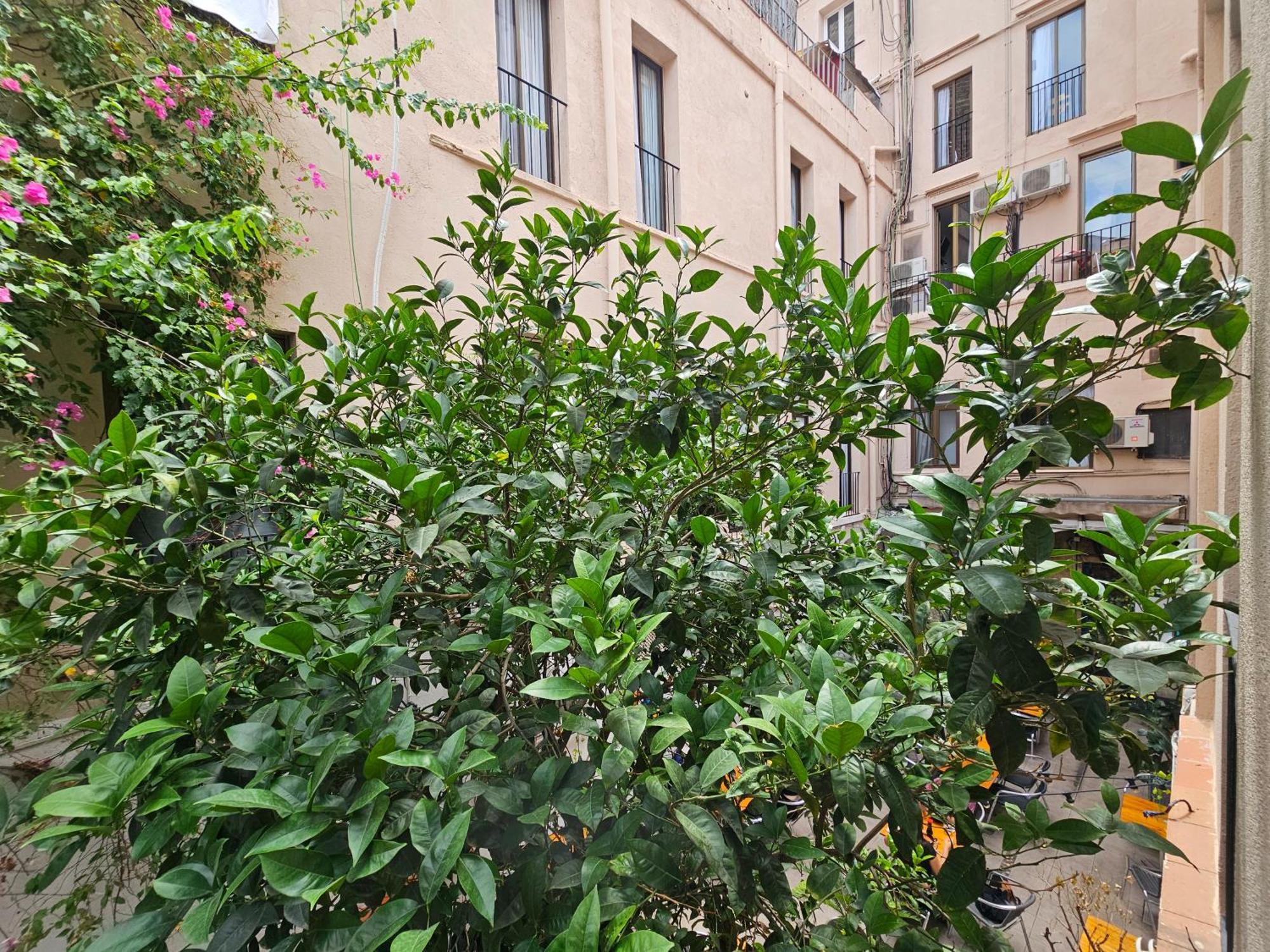 Hotel Palermo, Barcelona
